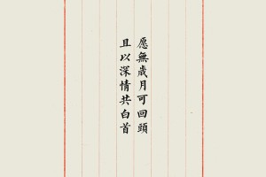 31省新增本土20例(31省新增22例本土8例)