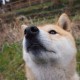12月5日取消核酸检测/核算什么时候取消