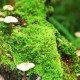 【徐州疫情最新情况,徐州疫情最新消息数据】
