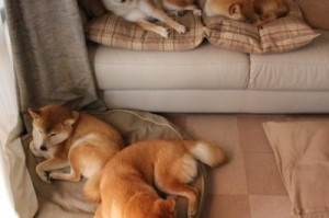 31省区市连续6天无新增本土确诊/本土几天连续无新增