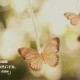 4日陕西疫情速报(陕西疫情每日速报)