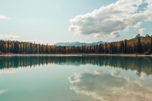 青岛无症状者属早期感染(青岛无症状者属早期感染者吗)