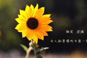 辽宁省新增2例本土确诊/辽宁省新增1例本土确诊