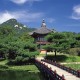 美国新增12万/美国新增确诊12万