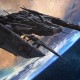 【多地取消查验核酸证明,取消核酸检测证明】