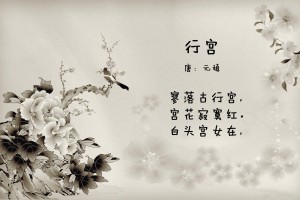 【31省份新增10例确诊,31省份新增10例确诊1例为本土病例】