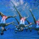 【湛江最新疫情情况,湛江疫情最新动态】