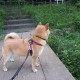 山东青岛最新疫情爆发(山东青岛疫情206例)