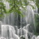 【邬惊雷怎么了,邬靖靖的个人资料简介】