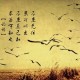 青岛新增本土确诊34例/青岛新增本土详情