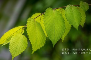 31省区市新增20例确诊均为境外输入(31省区市新增7例确诊均为境外输入)