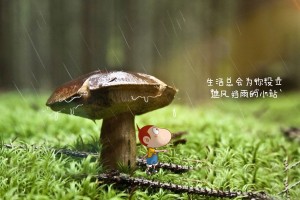兰州最新疫情(兰州最新疫情风险等级)