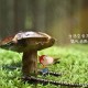 兰州最新疫情(兰州最新疫情风险等级)