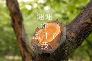辽宁发现24例阳性系援吉返辽人员/辽宁确诊患者