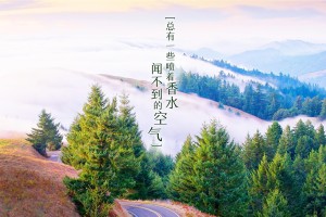 【上海浦东疫情,上海浦东疫情解封了吗】