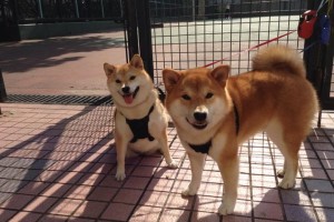 【常州新冠肺炎疫情,常州新冠肺炎疫情防控电话】