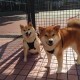 【常州新冠肺炎疫情,常州新冠肺炎疫情防控电话】