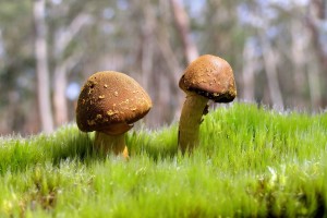 厦门疫情最新消息今天封城了(厦门疫情最新消息封城2021)
