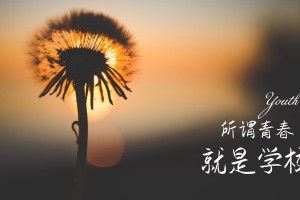 哈尔滨一传十(哈尔滨传染源到底是谁)