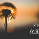 31省区市新增6例(31省区市新增6例本土确诊东一莞)