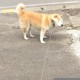 【什么时候返乡需要核酸检测,什么时候开始返乡要做核酸检查】