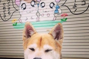 【郑州最新发现一例,郑州最新确诊一例】