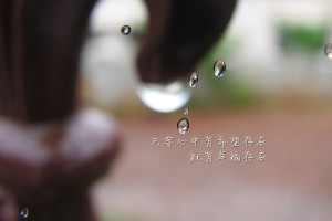 【31省区市新增确诊7例,31省区市新增确诊7例 新闻】