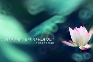 31省份新增确诊10例(31省份新增确诊10例 新闻)